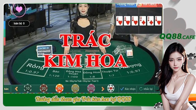 Hướng dẫn tham gia Trác kim hoa tại QQ88